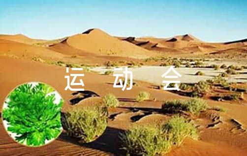 成年人是否可以通过篮球训练改善身高_1